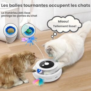 cat toys