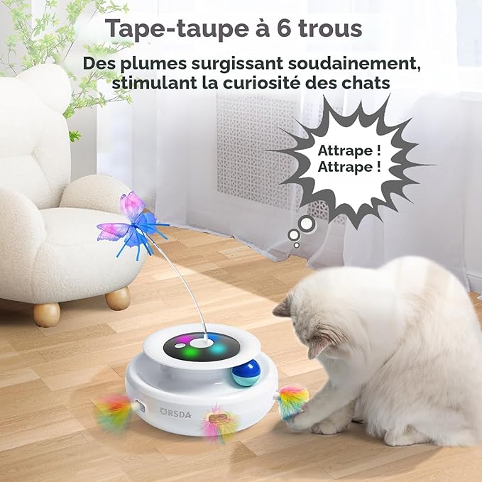 cat toys