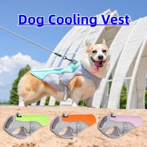 Gilet Rafraîchissant pour Chien – Vêtement Respirant Anti-Chaleur et Protection Solaire pour l’Été